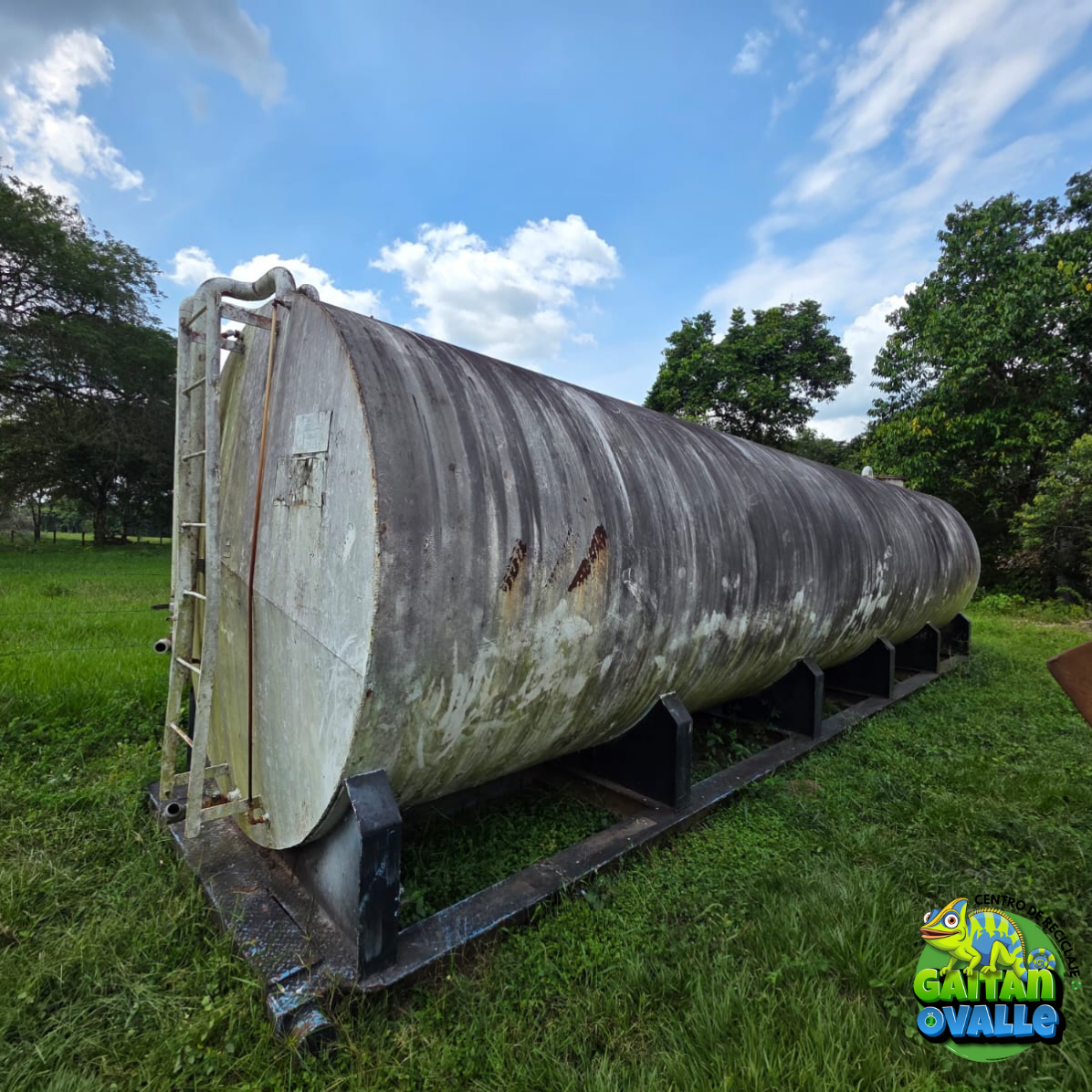 Certificado de disposición