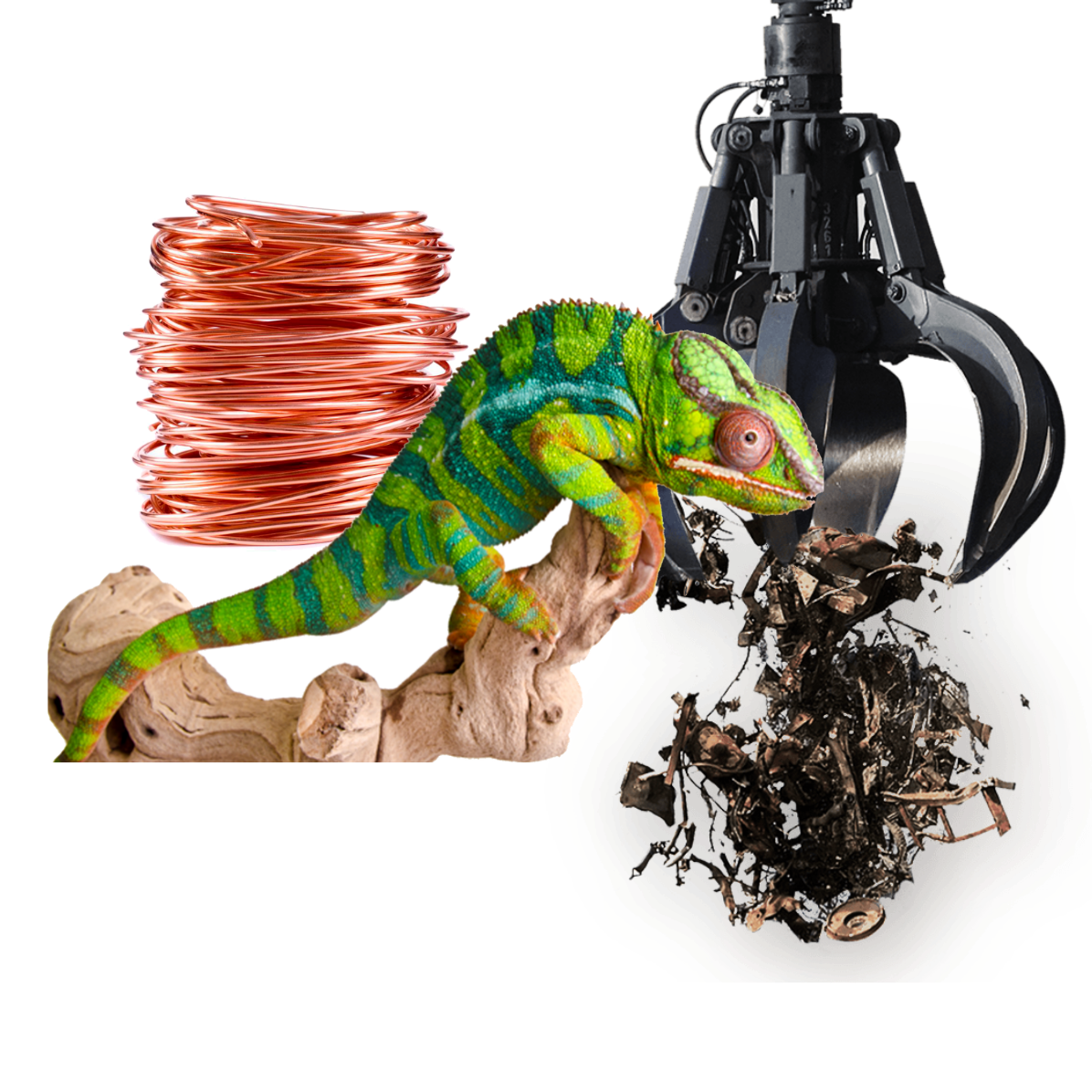 Elemento visual hero